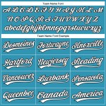 Jersey Authentic Panther Blau Weiß-Schwarz Custom Baseball Jersey Authentic Panther Blau Weiß-Schwarz Custom Baseball